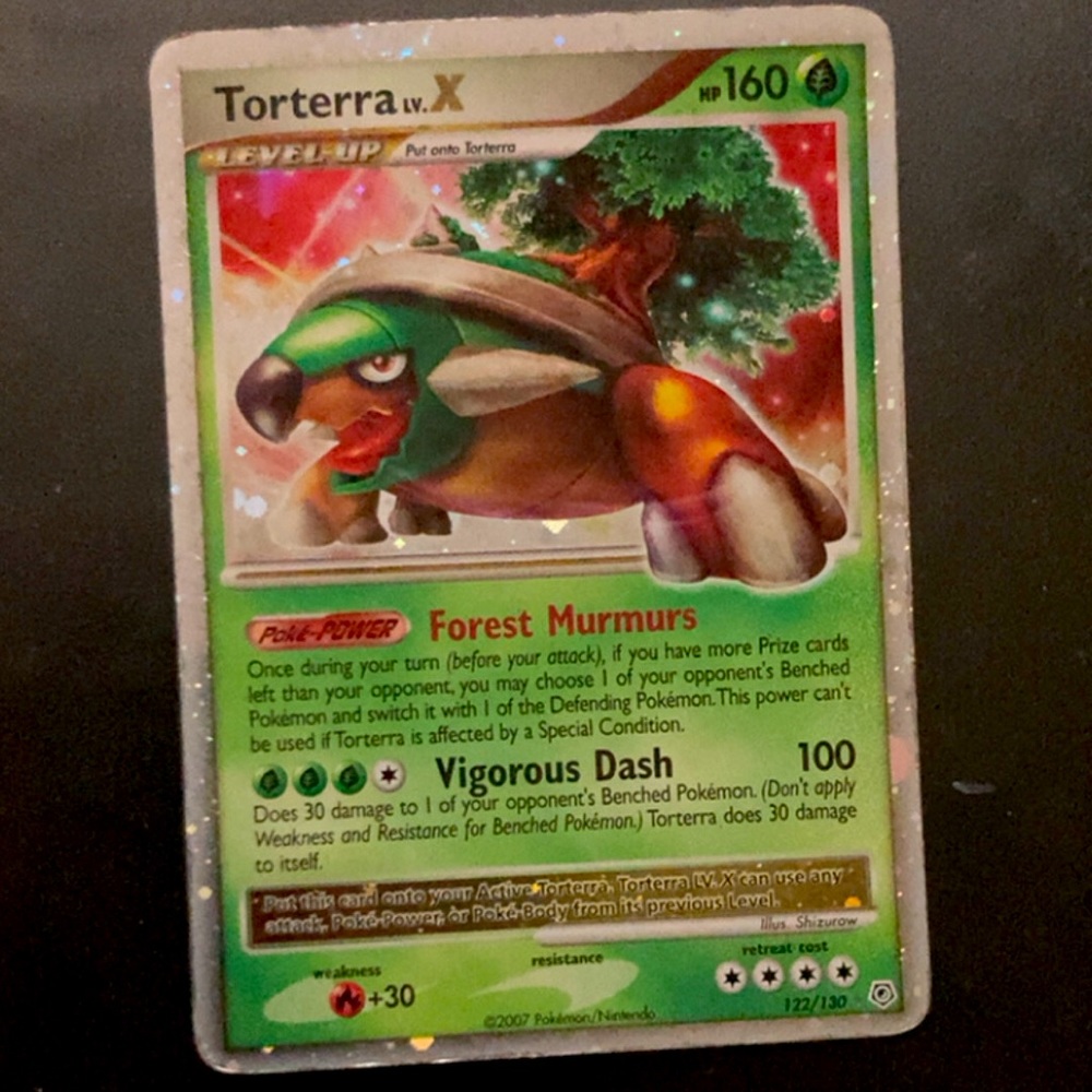 Torterra lvl. X